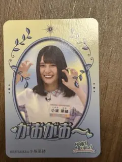 乾雅博様 リクエスト 3点 まとめ商品