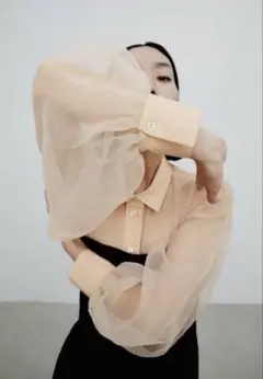 zara シアーブラウス　シースルー　オーガンジーのサムネイル