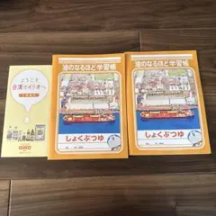 Item thumbnail for item fd2788d6-3f3e-496d-b967-7cf7a326e009