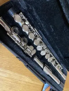 2026年最新】フルート ケース ムラマツの人気アイテム - メルカリ