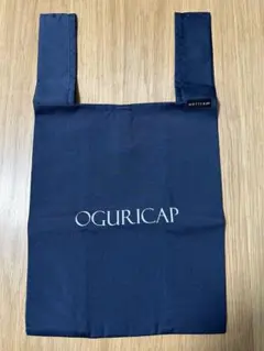 Item thumbnail for item be178a01-27cc-4c66-a04f-bcb9973aed64