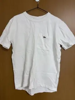 LACOSTE ホワイト Tシャツ US S