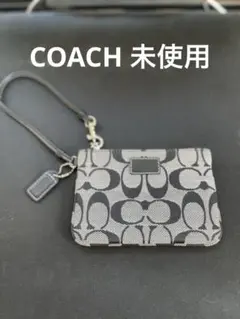 極美品 Coach コーチ アクセサリーポーチ グレー シグネチャー 6094