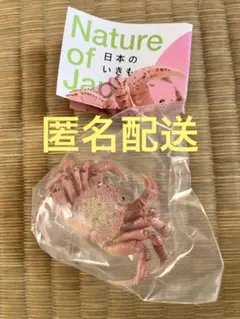 ネイチャーテクニカラー カプセルトイ