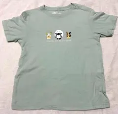 UNIQLO ポケモン UTキッズシャツ 120