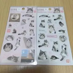 Item thumbnail for item 7d0d0e74-6680-4ff9-a7c4-8f66f5f2bf34