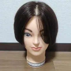 2026年最新】カットウィッグ ユーカリの人気アイテム - メルカリ