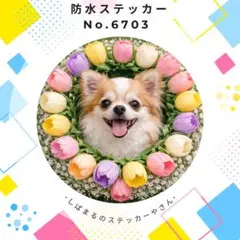 Item thumbnail for item db3ad4ec-7e44-44aa-97f3-63c3c277a4af