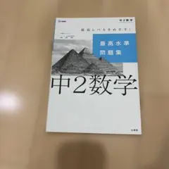 最高水準問題集 中2数学