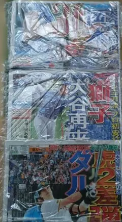 スポーツ新聞 3紙 9月10日発行 大谷翔平 巨人 ニッカン 報知 スポニチ