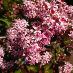 HIROSHI様 リクエスト 3点 まとめ商品