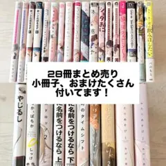 BL漫画本 28冊 まとめ売り