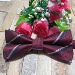 格安　蝶ネクタイ 結婚式 パーティー イベント ダンスパーティー　ワンタッチ