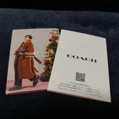 Item thumbnail for item 4425df34-85b8-49fc-8ff1-8a7c8e03f8e5