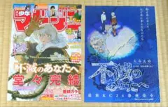 週刊少年マガジン 2025年 27号 不滅のあなたへ 完結 - メルカリ