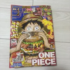 週刊少年ジャンプ 2008年44号 ONE PIECE巻頭カラー - メルカリ