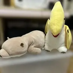 Item thumbnail for item 5855102c-a6c6-41c6-a7c8-01ee70f353b4