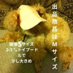 Item thumbnail for item b4391080-bec5-495c-8e24-3b8cd6013f57