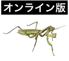 カマキリ カプセルトイ