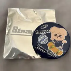 StrayKids ランダム缶バッジ