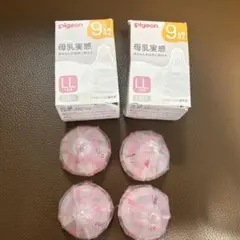 Item thumbnail for item befdd2bd-3c38-4dc1-ab9d-178ba23280ed