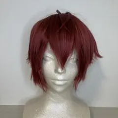 ツイステ リドル コスプレ ウイッグ