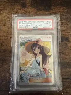 2026年最新】psa10 かんこうきゃく SRの人気アイテム - メルカリ