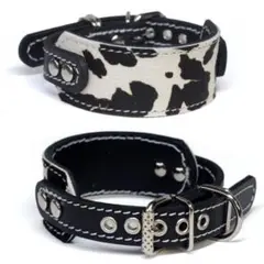 Item thumbnail for item 9b7e047b-2a5f-4168-9cad-0fb971cf181d