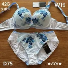 サルート 42 WH ホワイト D75 リボンブラ&ノーマルショーツM/LL