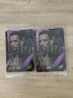 Item thumbnail for item d523866a-da5d-4df5-8078-2d45752dbb3a