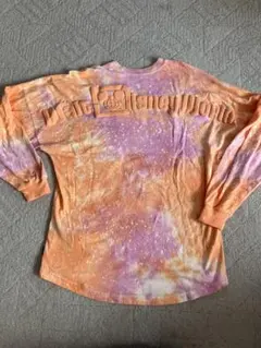 Item thumbnail for item 9c4a22cf-f279-4683-acd2-9ca998bccefe