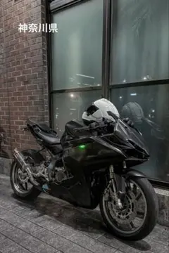 cbr250rr mc51 2019 【週末限定値下げ】のサムネイル