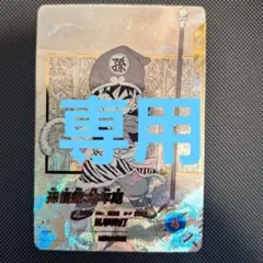 【専用】 SR★ パラレル APT-007 孫悟飯:幼年期 ドラゴンボール