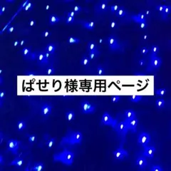 ぱせり様専用ページ
