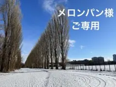 メロンパン様ご専用　バッグ　ハンドメイド キャスキッドソン