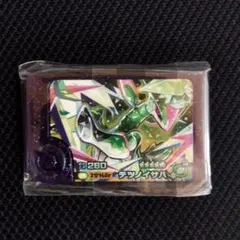 テツノイサハ　ポケモンフレンダ　ポケモン　フレンダ　スーパートレジャー