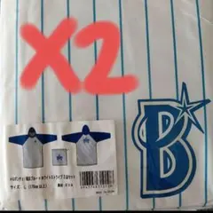 Item thumbnail for item 3421d62c-c195-444d-888a-957306be7635