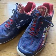 asics テニスシューズ 全米オープンモデル 25.5