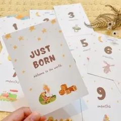 Item thumbnail for item 16d94a1f-7eea-49fd-876b-3c8b5dcf3278