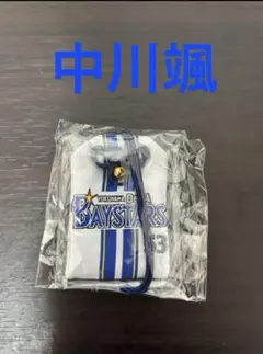 横浜DeNA ベイスターズ　中川颯選手お守り