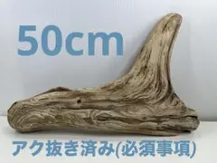 Item thumbnail for item a550b5f6-607a-4ca4-b358-839005472c61