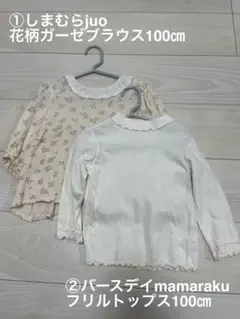 Item thumbnail for item 36f8ea0b-4484-4b4d-a3cc-8d4ca04bd1fa