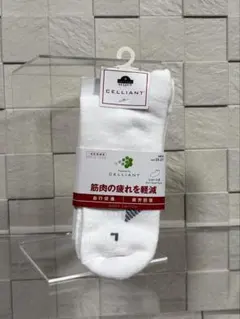 Item thumbnail for item 960c36fa-5229-4593-b174-75f1f82ee479