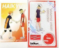 ハイキュー　孤爪研磨　アクスタ　アクリルスタンド　アニメイト　特典ポストカード