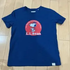 Item thumbnail for item ca30acbb-4533-4b93-a66c-6c75678020d2