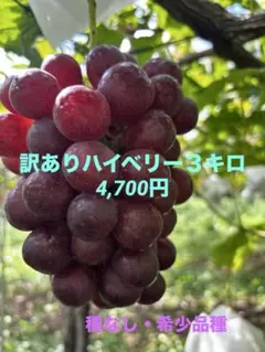 クイーンセブン　粒　2000g ぶどう シャインマスカットの子 クイーンセブン 粒 2000g ぶどう シャインマスカットの子 - メルカリ