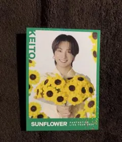 ❣新品❣ 木村慧人 セットFANTASTICS SUNFLOWER - メルカリ