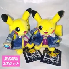 新品　ポケモン天文台　限定グッズ　ほしぞらピカチュウ ぬいぐるみ 2体セット