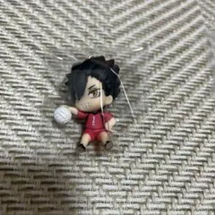 ハイキュー！！ 黒尾鉄朗