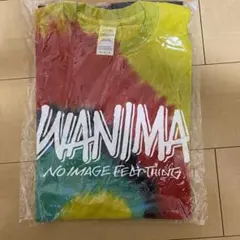 WANIMA Tシャツ タイダイ 新品未使用